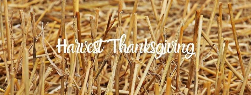 How Giving Thanks Takes Courage